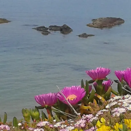 Attico La Murighessa Apartamento *