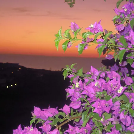 Lägenhet Attico La Murighessa